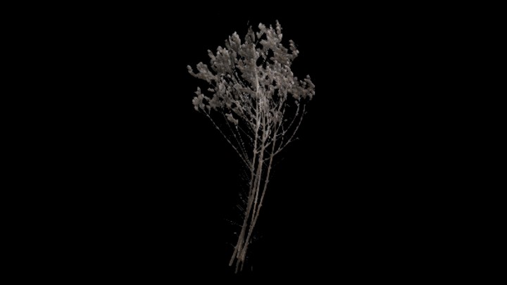 UE项目资源_模型资源_植物1207