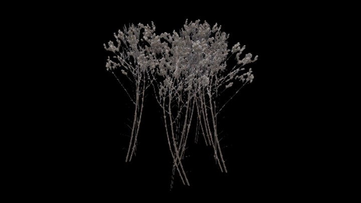 UE项目资源_模型资源_植物1208