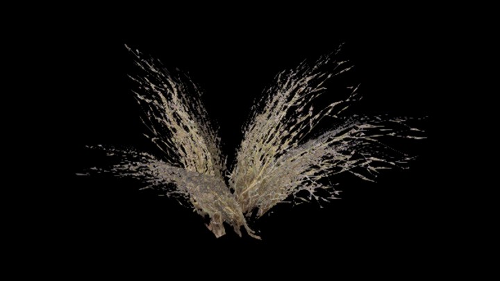 UE项目资源_模型资源_植物1209