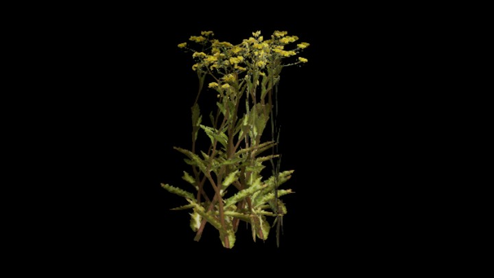 UE项目资源_模型资源_植物1250