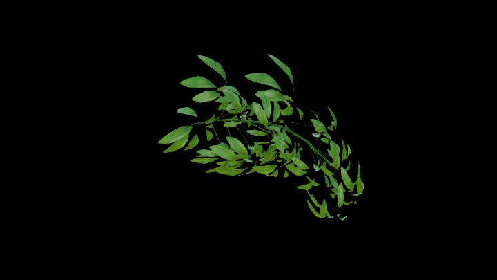 UE项目资源_模型资源_植物1340