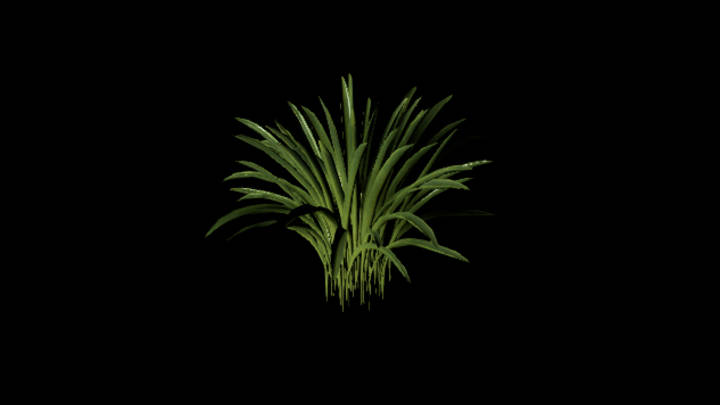 UE项目资源_模型资源_植物1348