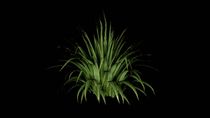 UE项目资源_模型资源_植物1349