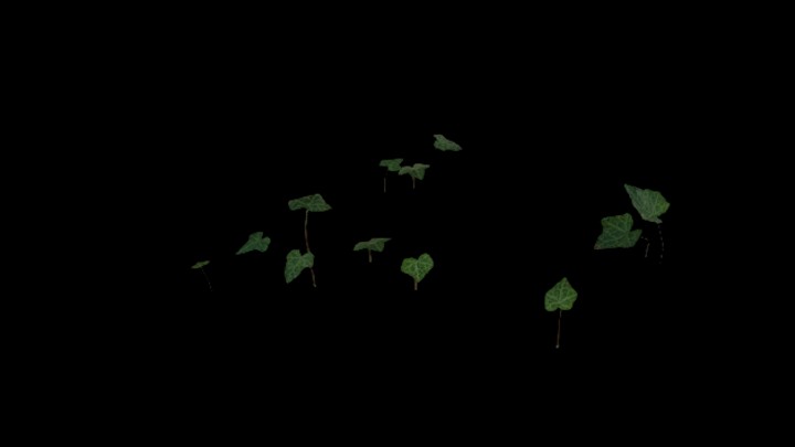 UE项目资源_模型资源_植物1379