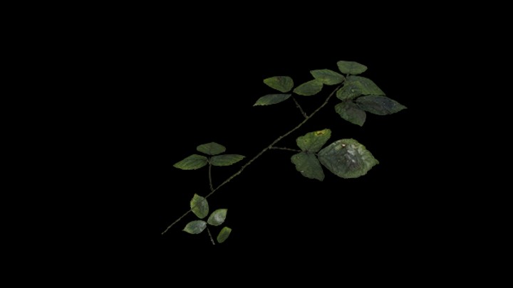 UE项目资源_模型资源_植物1381