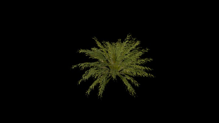 UE项目资源_模型资源_植物1387