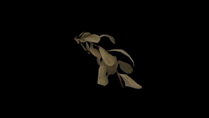 UE项目资源_模型资源_植物1394