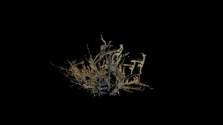 UE项目资源_模型资源_植物1404