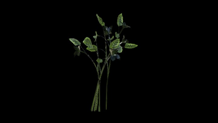 UE项目资源_模型资源_植物1429