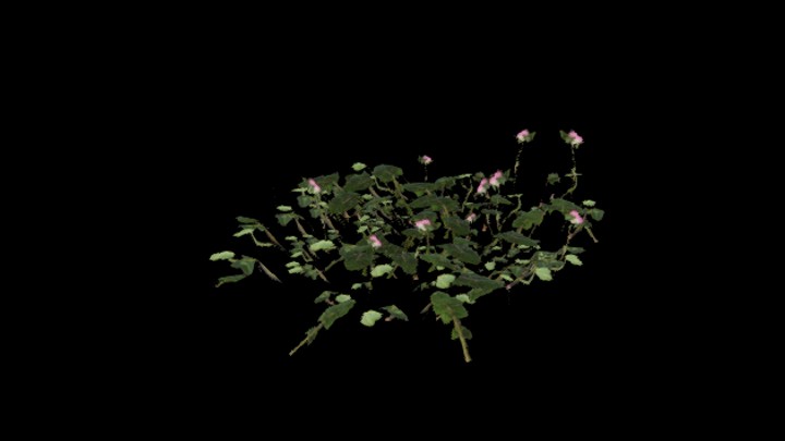 UE项目资源_模型资源_植物1437