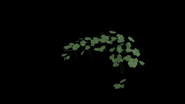 UE项目资源_模型资源_植物1439