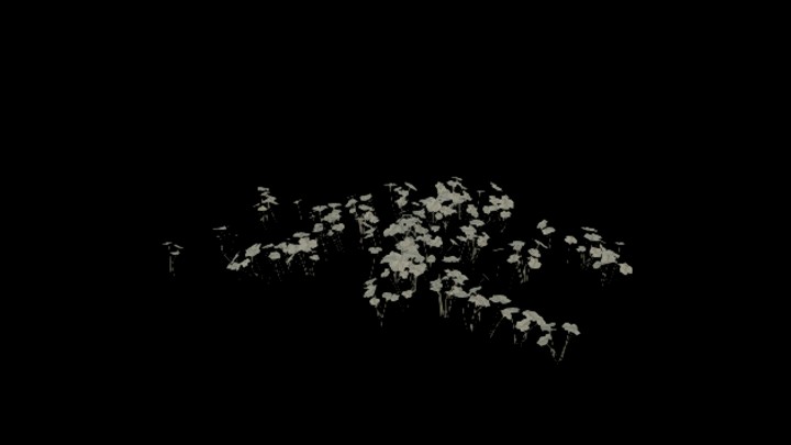 UE项目资源_模型资源_植物1442