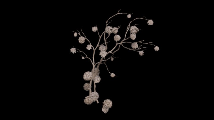 UE项目资源_模型资源_植物1452