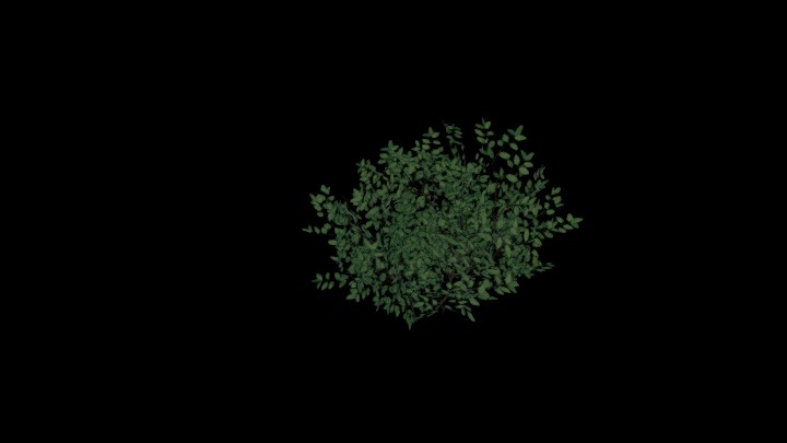 UE项目资源_模型资源_植物1462