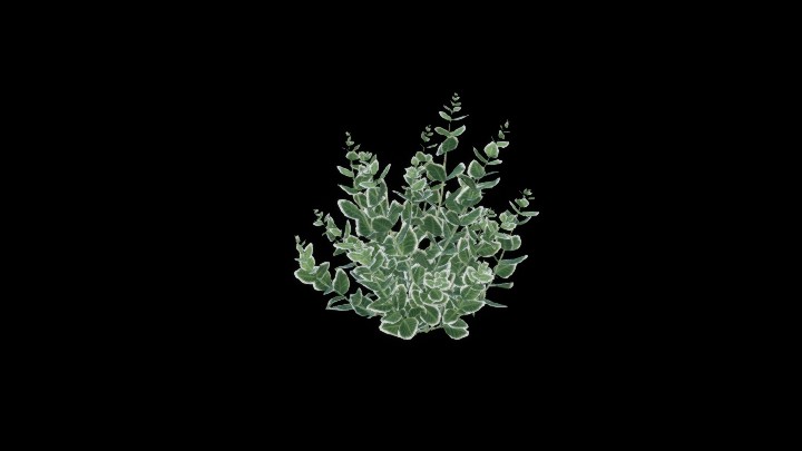 UE项目资源_模型资源_植物1471