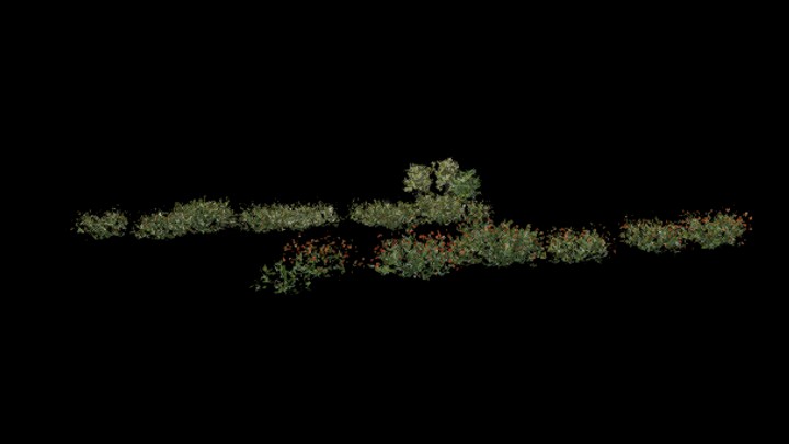 UE项目资源_模型资源_植物1477