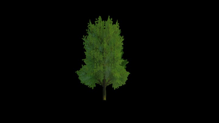 UE项目资源_模型资源_植物1492