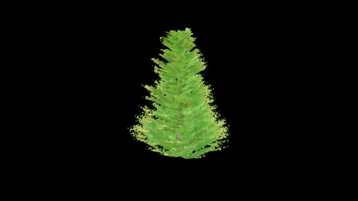 UE项目资源_模型资源_植物1495