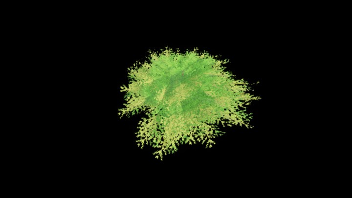 UE项目资源_模型资源_植物1496