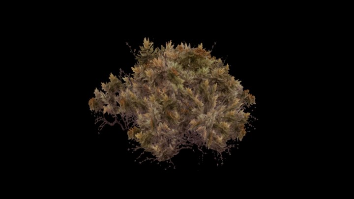 UE项目资源_模型资源_植物995