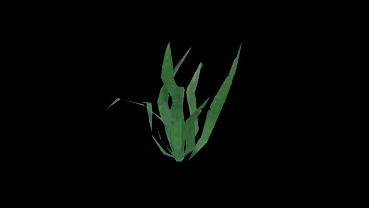 UE项目资源_模型资源_海洋生物095