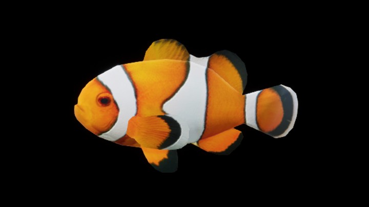 UE项目资源_模型资源_海洋鱼013