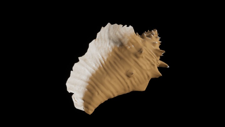 UE项目资源_模型资源_海螺011