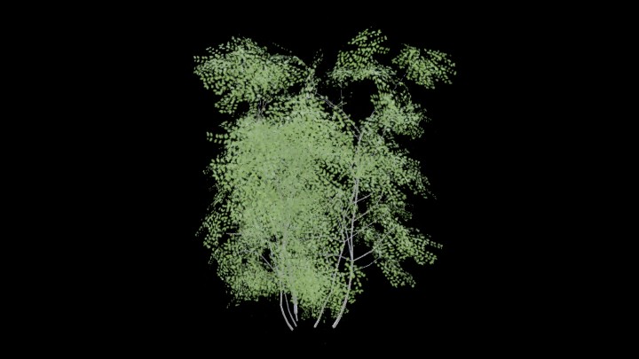 UE项目资源_模型资源_灌木098
