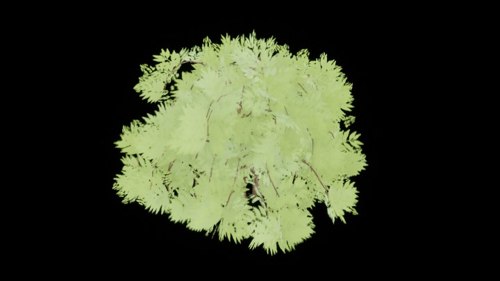 UE项目资源_模型资源_灌木104