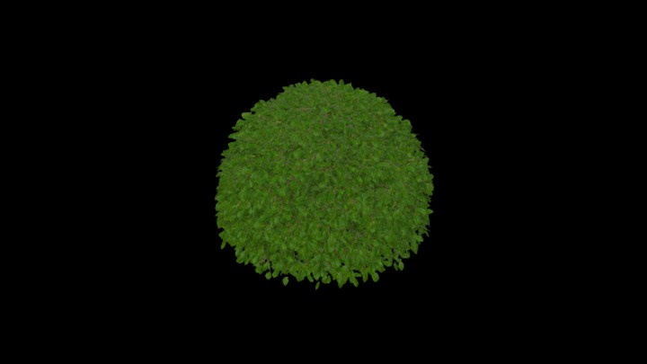 UE项目资源_模型资源_灌木丛013