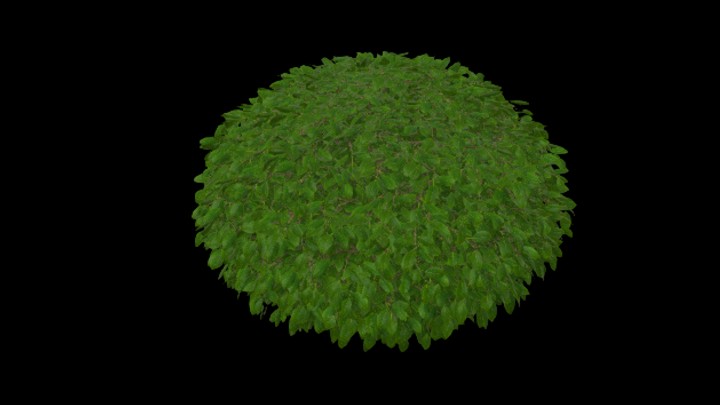 UE项目资源_模型资源_灌木丛022