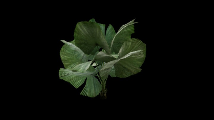 UE项目资源_模型资源_热带植物010