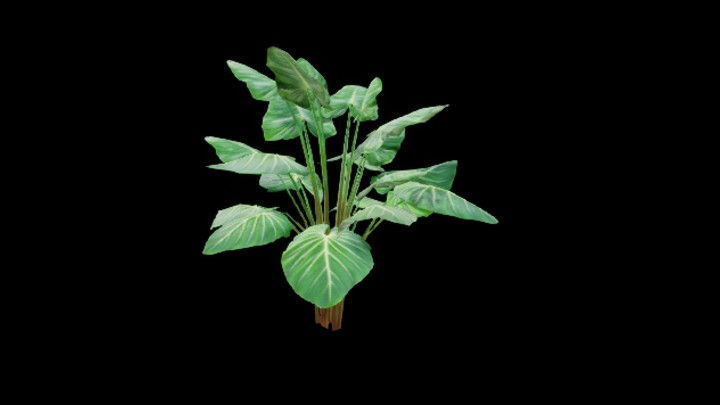UE项目资源_模型资源_热带植物019