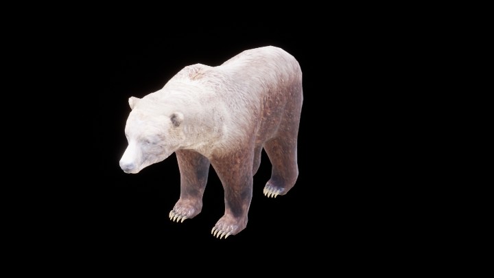 UE项目资源_模型资源_熊001