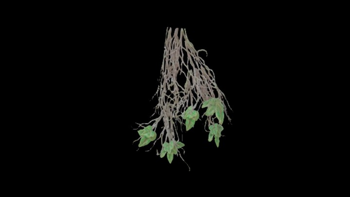 UE项目资源_模型资源_爬山虎021