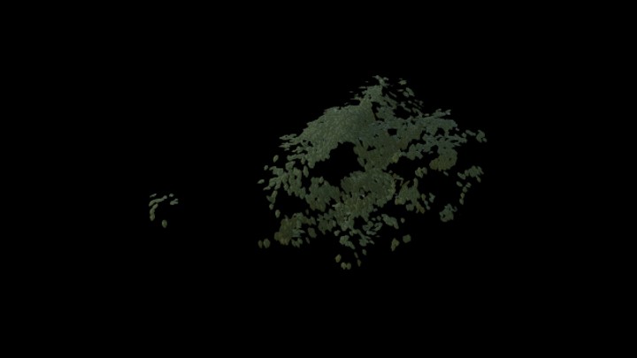 UE项目资源_模型资源_爬山虎030