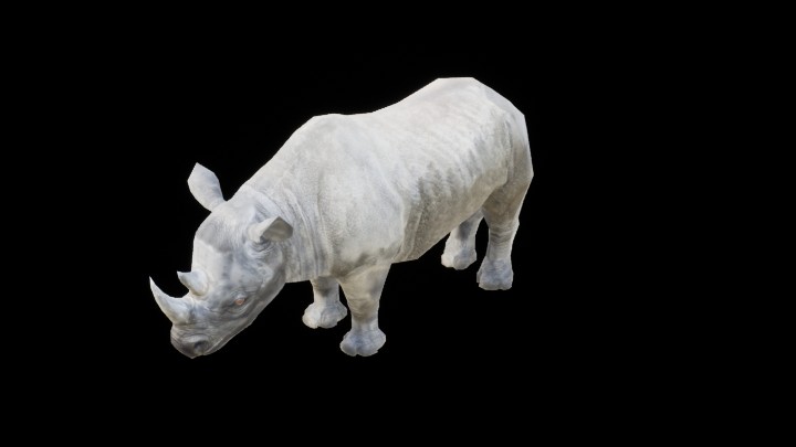 UE项目资源_模型资源_犀牛001