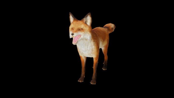 UE项目资源_模型资源_狐狸001