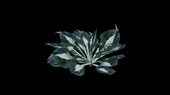 UE项目资源_模型资源_玉簪花009