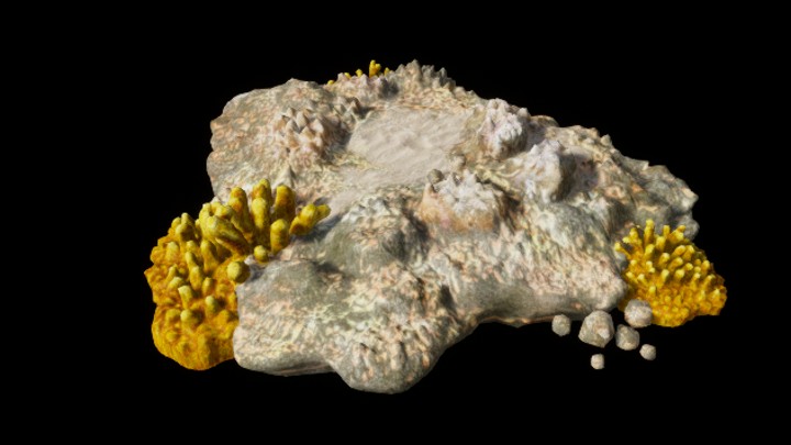 UE项目资源_模型资源_珊瑚台001