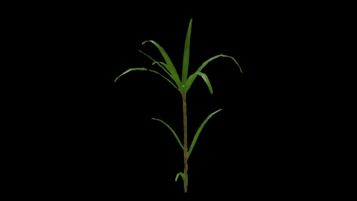 UE项目资源_模型资源_甘蔗004