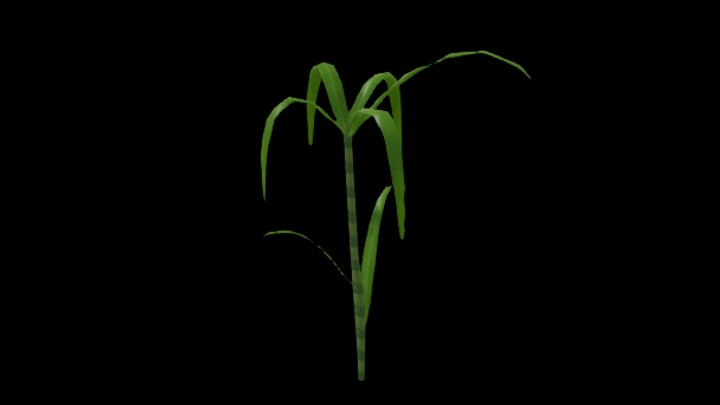 UE项目资源_模型资源_甘蔗005