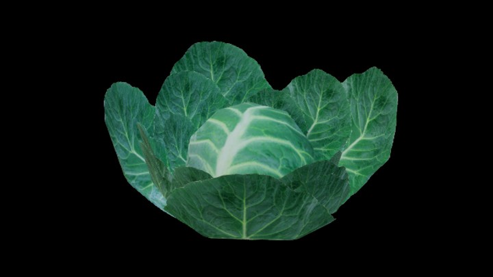 UE项目资源_模型资源_白菜002