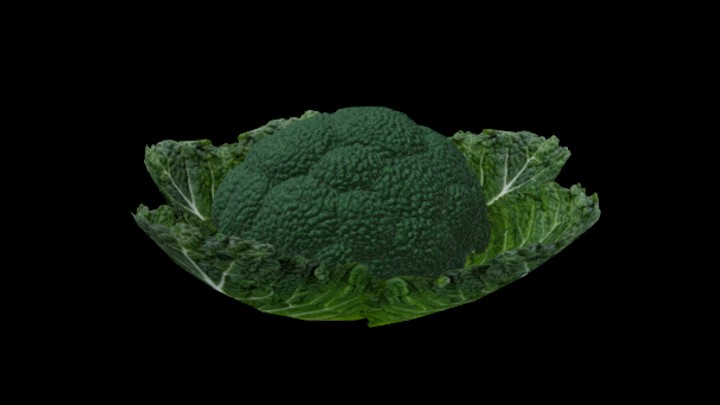 UE项目资源_模型资源_白菜009