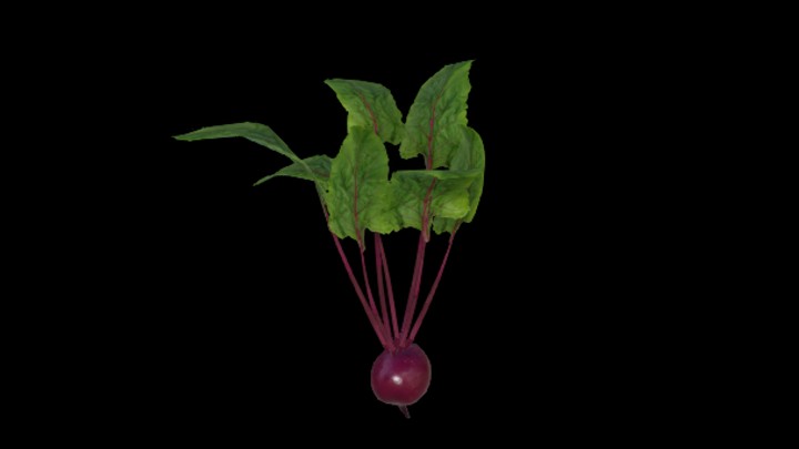 UE项目资源_模型资源_红萝卜003