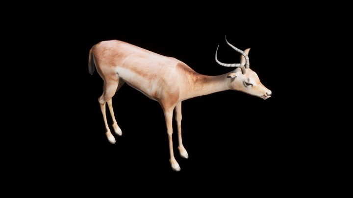 UE项目资源_模型资源_羊001