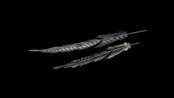 UE项目资源_模型资源_羽毛012