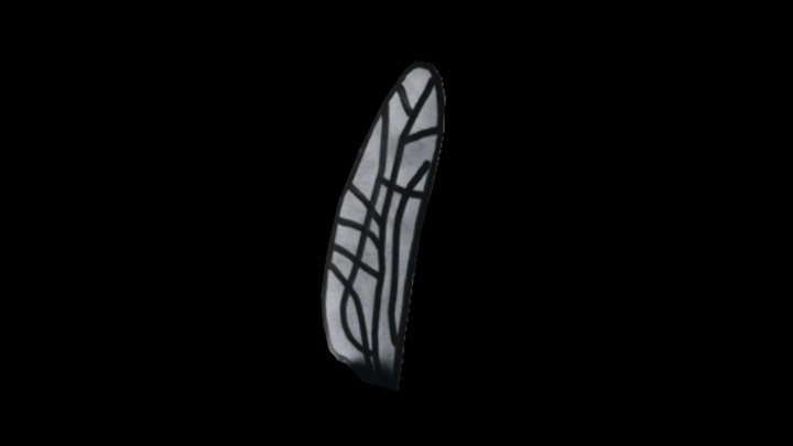 UE项目资源_模型资源_翅膀005