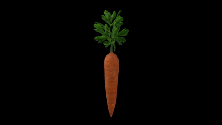 UE项目资源_模型资源_胡萝卜021