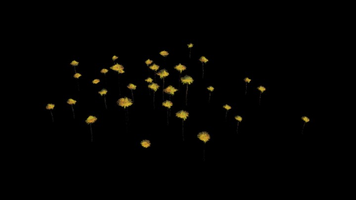 UE项目资源_模型资源_花331